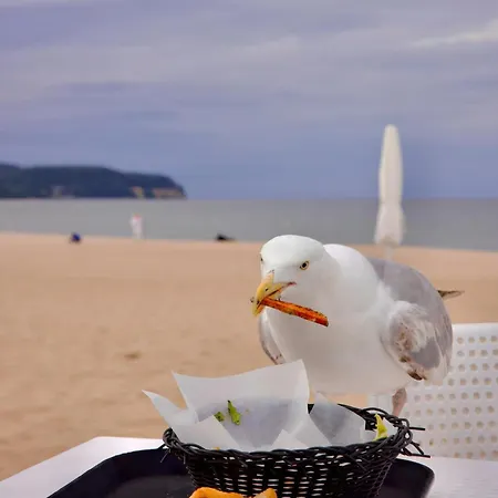 Apartament Gedania *